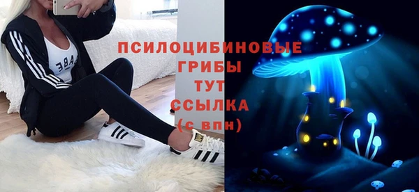 шишки Алексин
