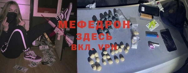 индика Абаза