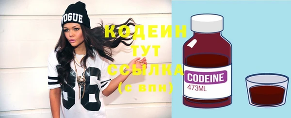 индика Абаза