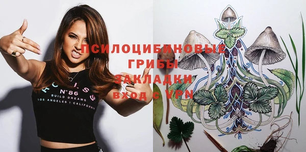 шишки Алексин