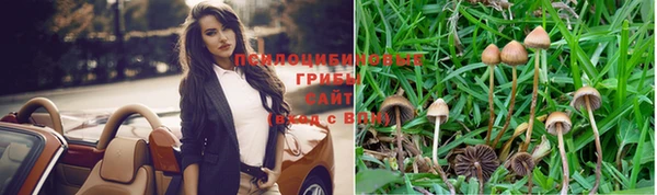 шишки Алексин